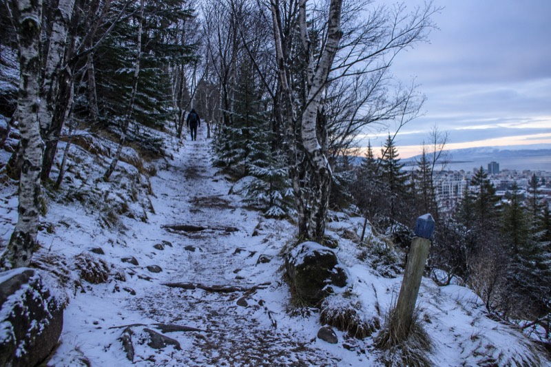 Öskjuhlíð woods and trails