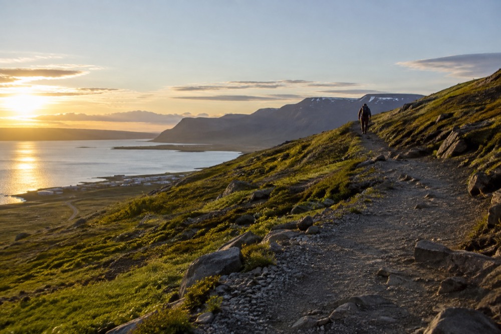 A hiking trail on a green hillside above a fjord