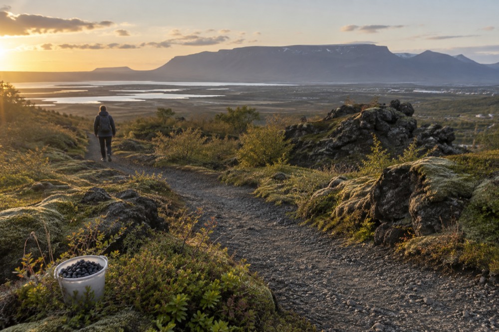 Trail winding through mossy lava fields toward Mount Esja at golden hour