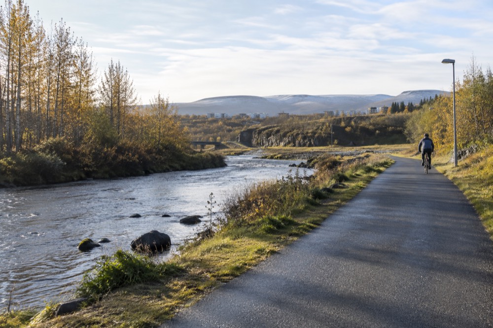 A paved path running beside a river with birch trees on the far bank