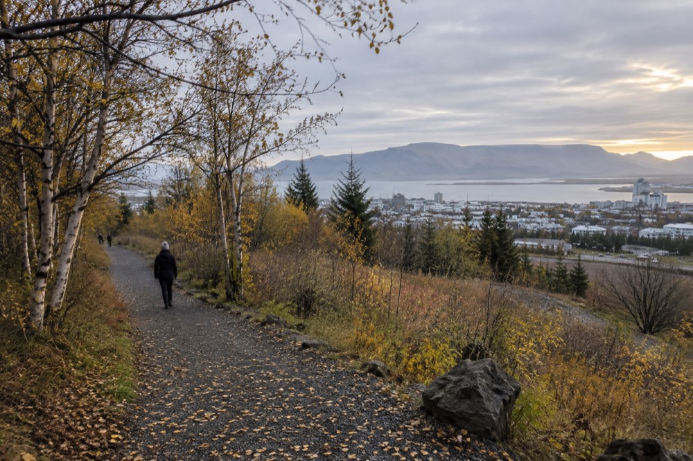 A hillside trail above a city with a coastline beyond