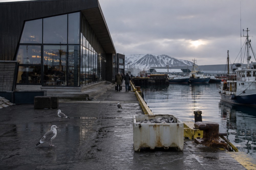 A modern harbour-front attraction building beside the working fishing quay
